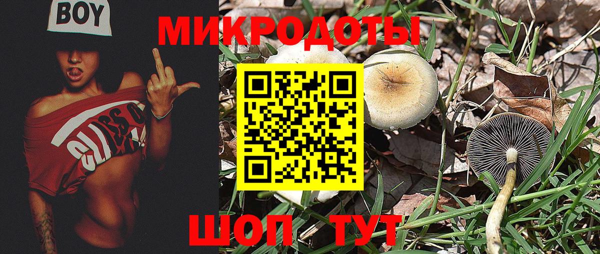 Псилоцибиновые грибы прущие грибы  купить закладку  Нефтекумск  Вход с VPN  Псилоцибиновые грибы GOLDEN TEACHER 
