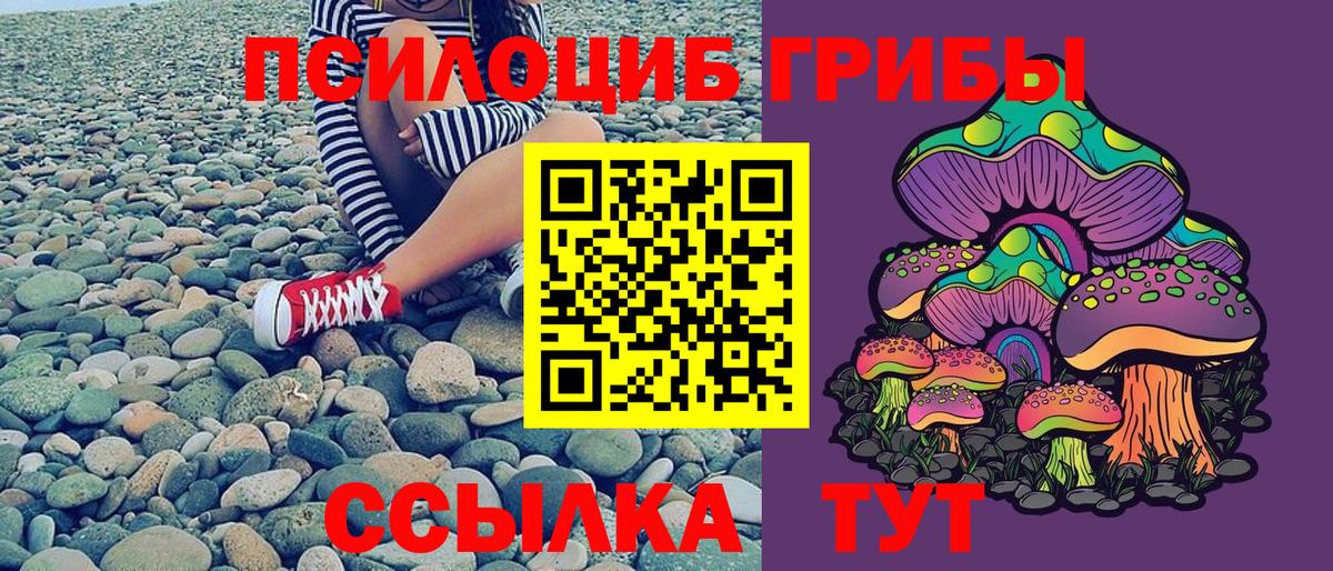 Галлюциногенные грибы MAGIC MUSHROOMS Нефтекумск